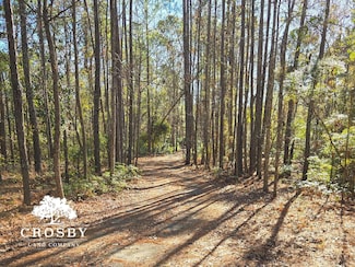 2059 Plantation Pointe Dr, Statesboro, GA 30461