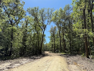 43ac NW 193rd St, Reddick, FL 32686