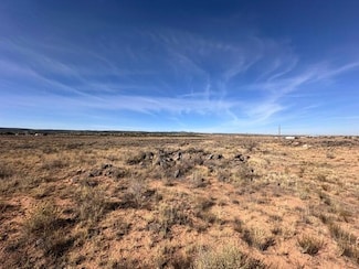 0 N Quail Ln, Milan, NM 87021