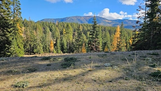 717 C Finley Gulch Rd, Colville, WA 99114