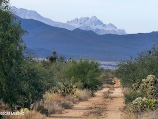 15246 S Carlsburg Ave Unit 124-127, Tucson, AZ 85736