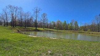 217 A Daydream Dr, Dunlap, TN 37327