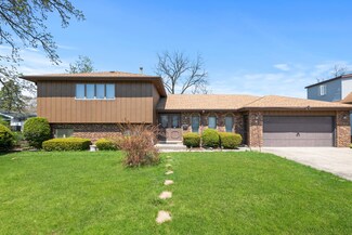 91 Mckinley Ave, Steger, IL 60475