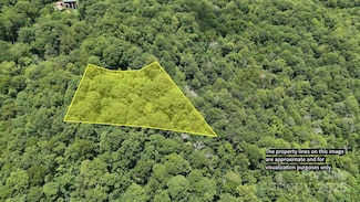 00 Logging Trail, Maggie Valley, NC 28751