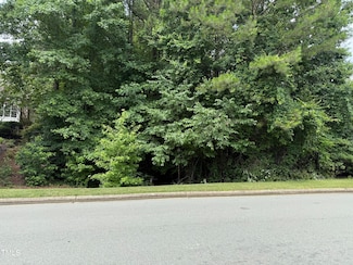 533 Bear Tree Creek, Williams, NC 27517