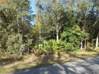 3055 W Viking Ln, Citrus Springs, FL 34433