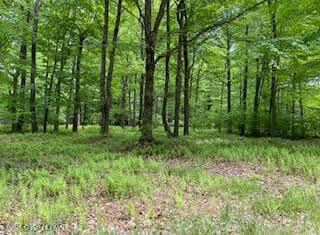 903 W Wadi Rd, Pocono Lake, PA 18347