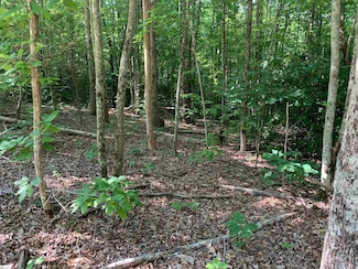 1337 Chinquapin Rd, Travelers Rest, SC 29690