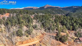 741 Pikes Peak Dr, Divide, CO 80814