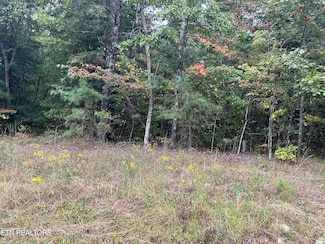 0 St Anthony Dr Unit 1276726, Jamestown, TN 38556