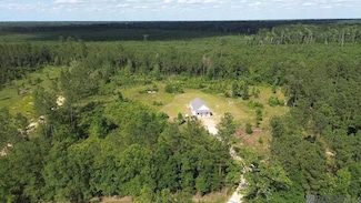 975 McLin Rd, Pine Grove, LA 70453