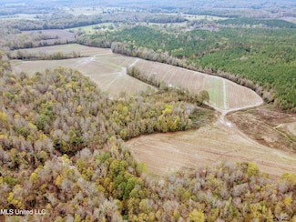 Tbd Cr 235, Banner, MS 38913