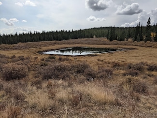 0 Snow Cap Peaks Rd Unit 23724219, Alma, CO 80402