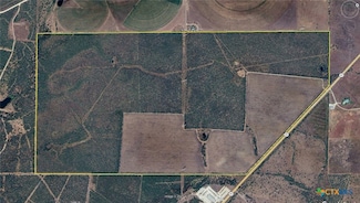 00 St Hwy 80 Hwy, Nixon, TX 77140