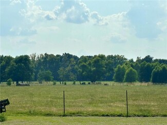 TBA Clemens Luneau Rd, Marksville, LA 71351