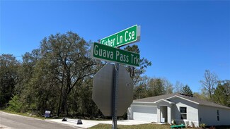0 Fisher Lane Course Unit MFROM697166, Ocklawaha, FL 32179