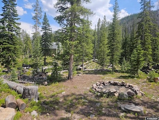 30 Balsam St, Elk Mountain, WY 82324
