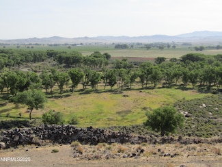 TBD Hwy 339, Yerington, NV 89447