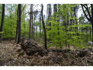 126 Pest House Rd, Tilton, NH 03276