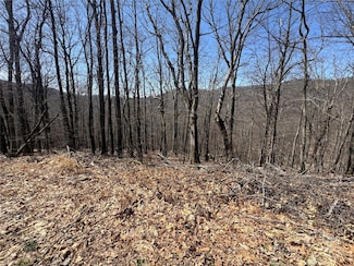 334-335-336 Hamlin Ln, Mars Hill, NC 28754