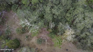 0000 Unassigned, Interlachen, FL 32148