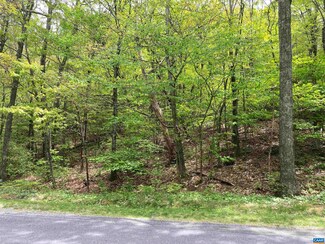 328 Shamokin Springs Trail, Roseland, VA 22967