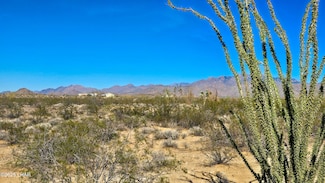 4 Acres S Ray, Yucca, AZ 86438