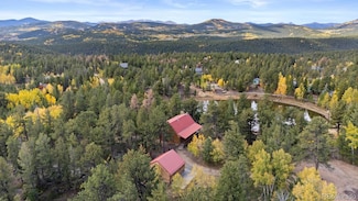 179 Spruce Way, Black Hawk, CO 80422