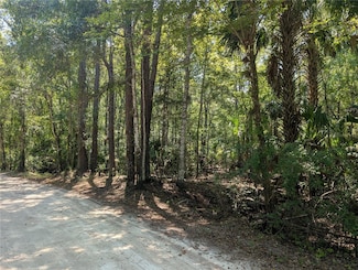 6252 E River Rd, Hernando, FL 34442