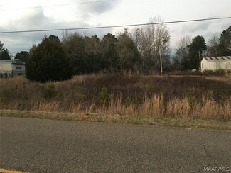 NAA County Road 349, Elba, AL 36323