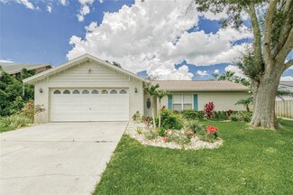 2809 Timberway Place, Brandon, FL 33511