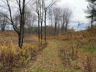 0 Woodbury Rd, Washington Township, PA 15824