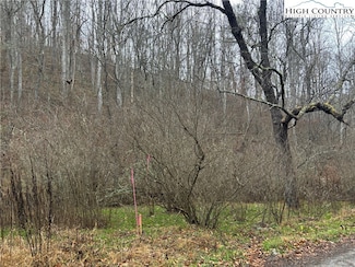 TBD Foster Oliver Ln, Lansing, NC 28643