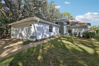 6001 Spring Creek Ct, Mount Dora, FL 32757