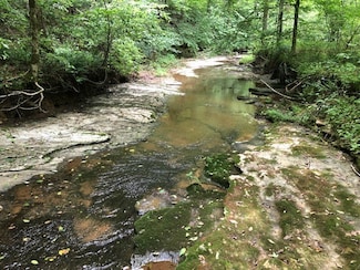 2270 Shuler Branch Rd, Ethridge, TN 38456