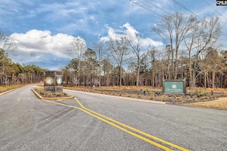 349 Stewart Landing Dr, Prosperity, SC 29127