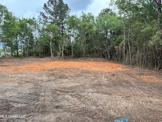 Lot 3 E Wortham Rd, Saucier, MS 39574