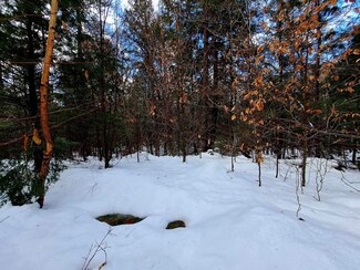 0 Waterthorn Unit 5024850, Thornton, NH 03285