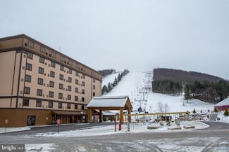 290 Marsh Hill Rd Unit 319C, Mc Henry, MD 21541