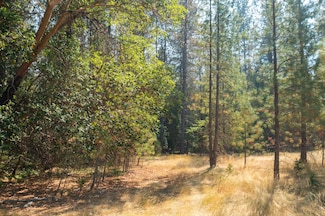 0 Pleasant Creek Rd Unit TL301 220190184, Rogue River, OR 97537