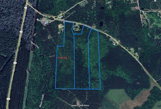 23.01 Acres, Purvis, MS 39475