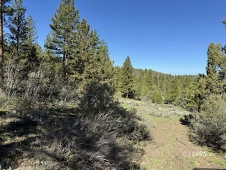 0 County Highway 1-22 Unit 3007573, Lakeview, OR 97630