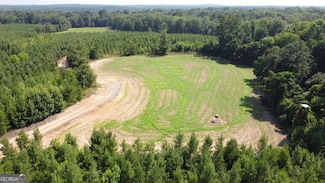 9390 Hopewell Rd, Lizella, GA 31052