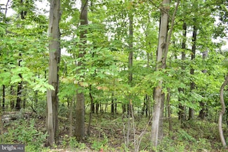 Lot 17 Fox Trail, Winchester, VA 22602