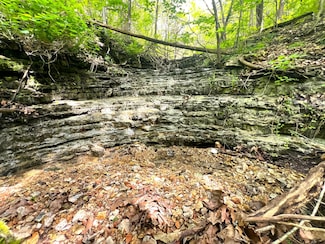 1619 Stone Rd, Noel, MO 64854