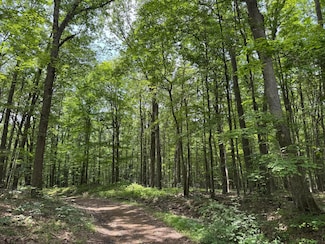 0 Westover Rd, Chest Township, PA 15753