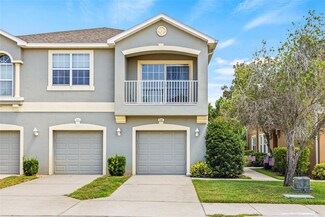 8848 Moonlit Meadows Loop, Riverview, FL 33578
