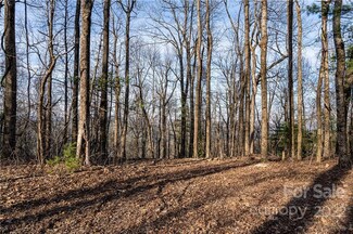 360 W Chestnut Ridges Rd Unit 11, Green River, NC 28718