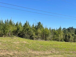 000 Alabama 87, Elba, AL 36323