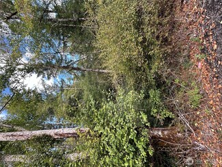 1331 E Grapeview Loop Rd, Grapeview, WA 98546